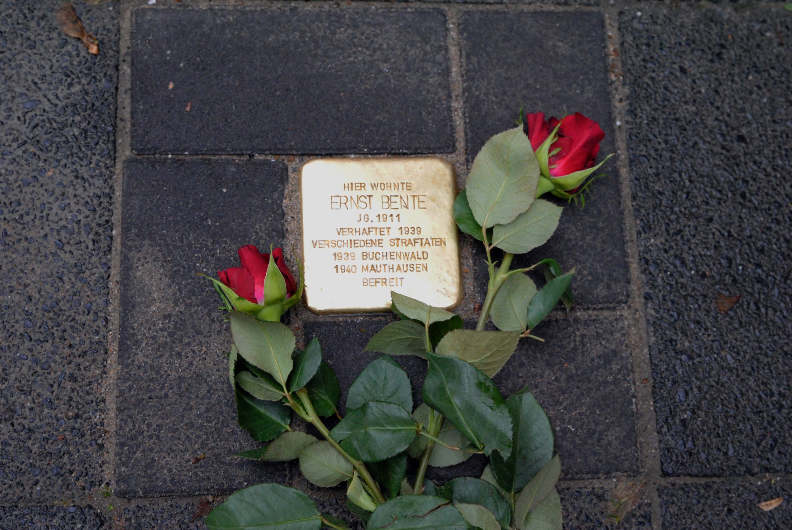 Erneute Stolpersteinverlegung durch Schüler und Schülerinnen der Lessing-Schule initiiert